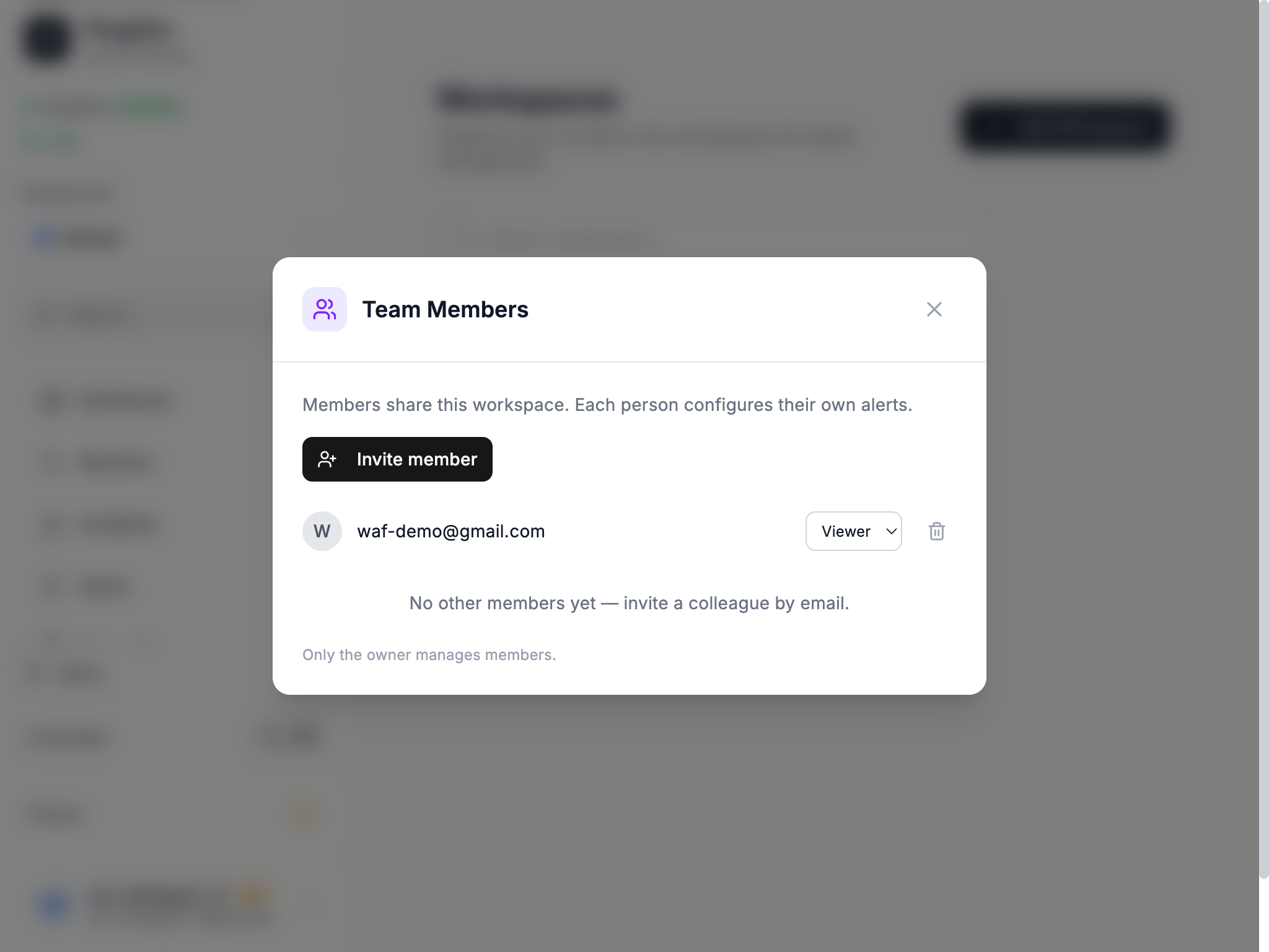 Team Members dialog: a shared workspace member with their role selector and a remove control