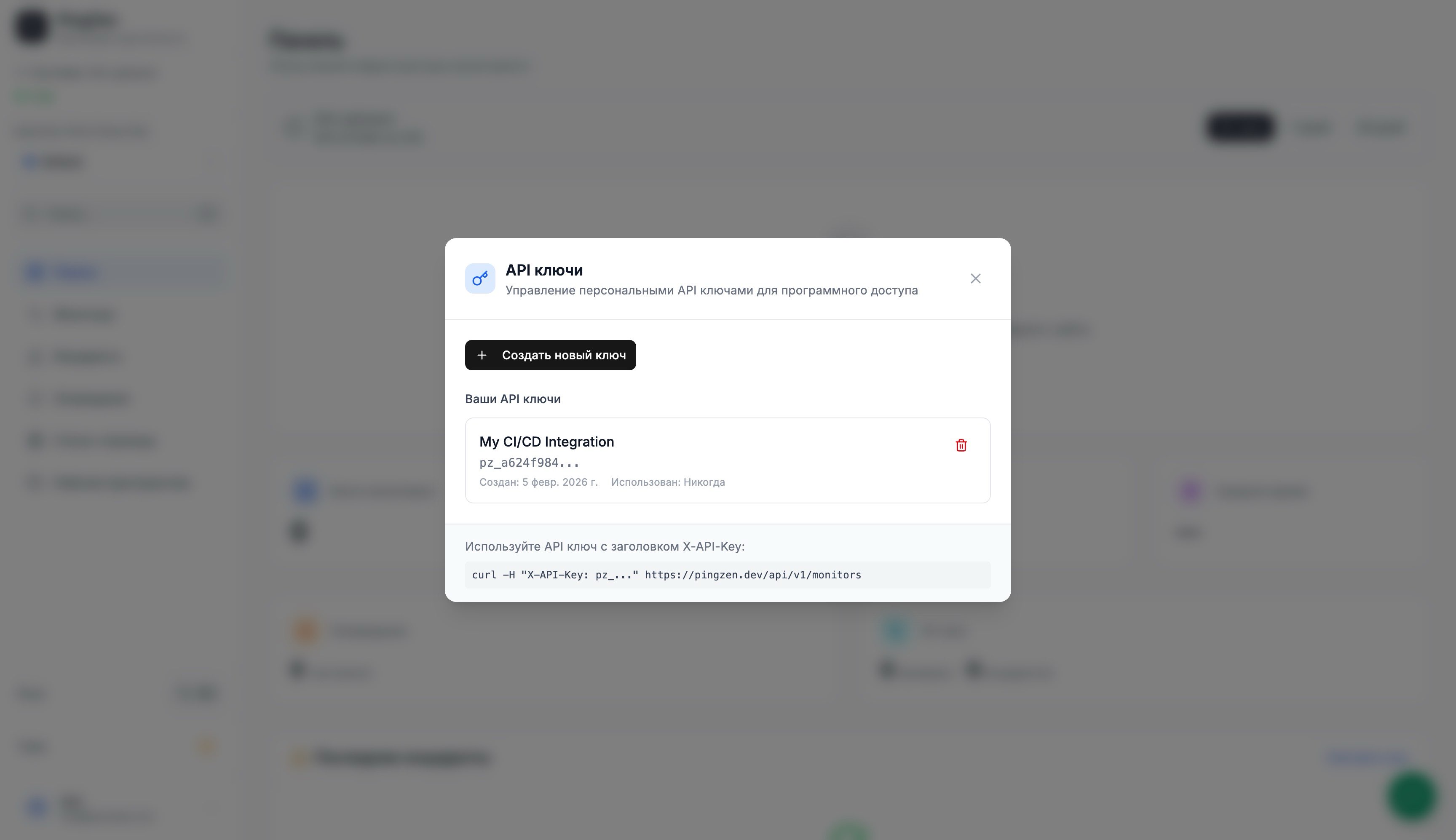 Диалог создания API ключа в PingZen